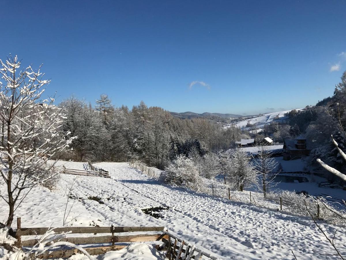 Pasieka - Dom Wypoczynkowy Bacza Exterior foto