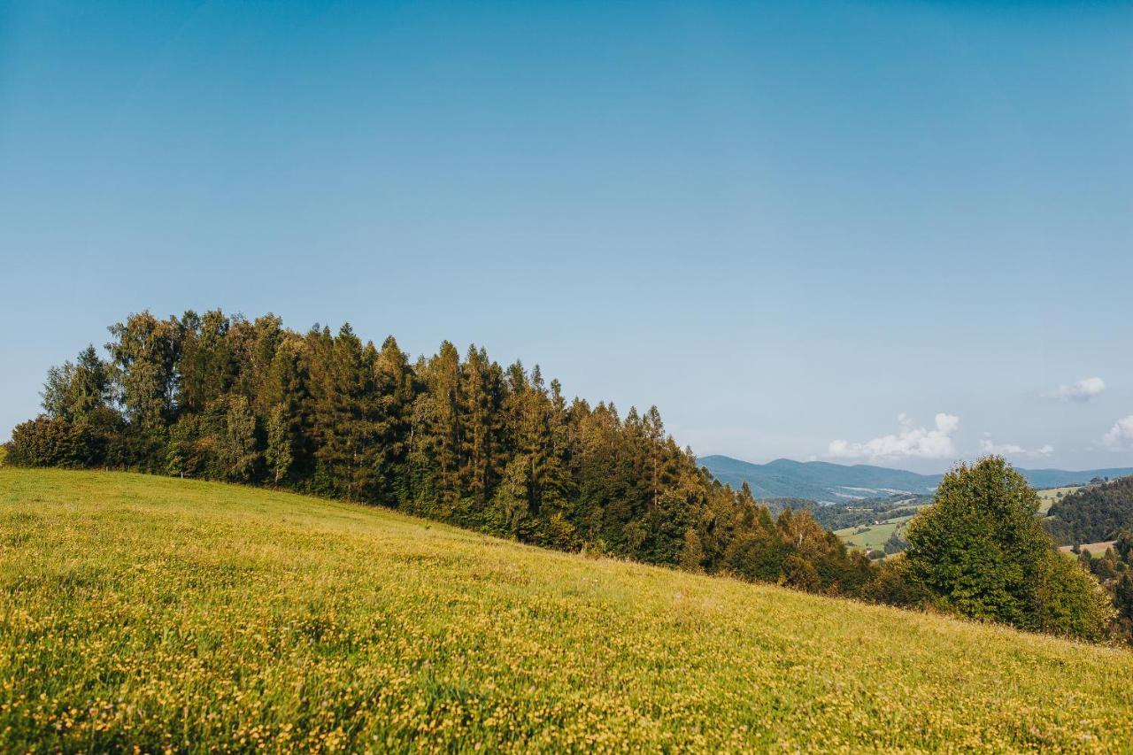 Pasieka - Dom Wypoczynkowy Bacza Exterior foto