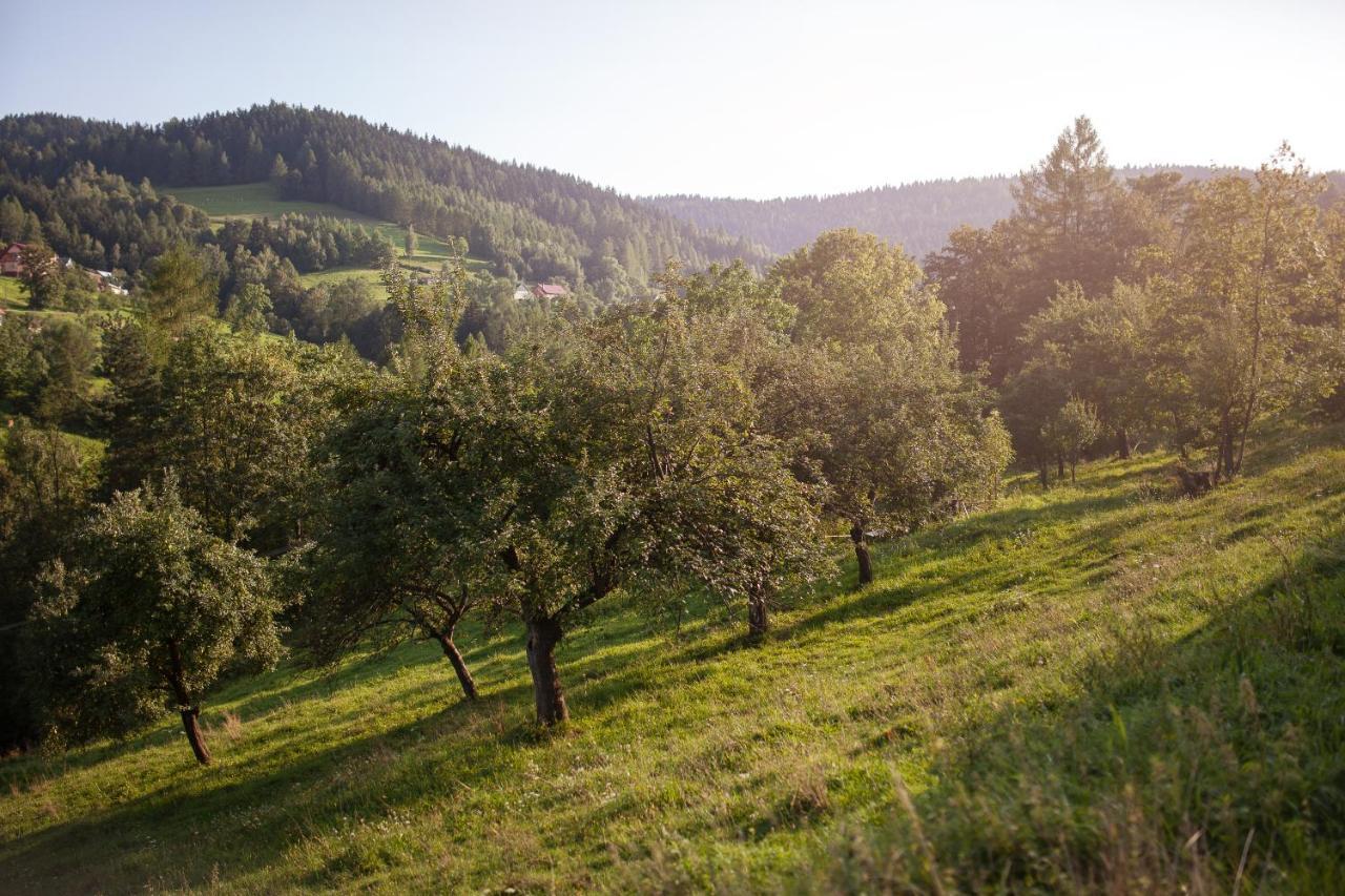 Pasieka - Dom Wypoczynkowy Bacza Exterior foto
